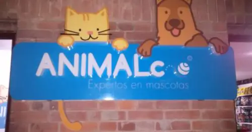 ANIMAL CO ANIMAL CO